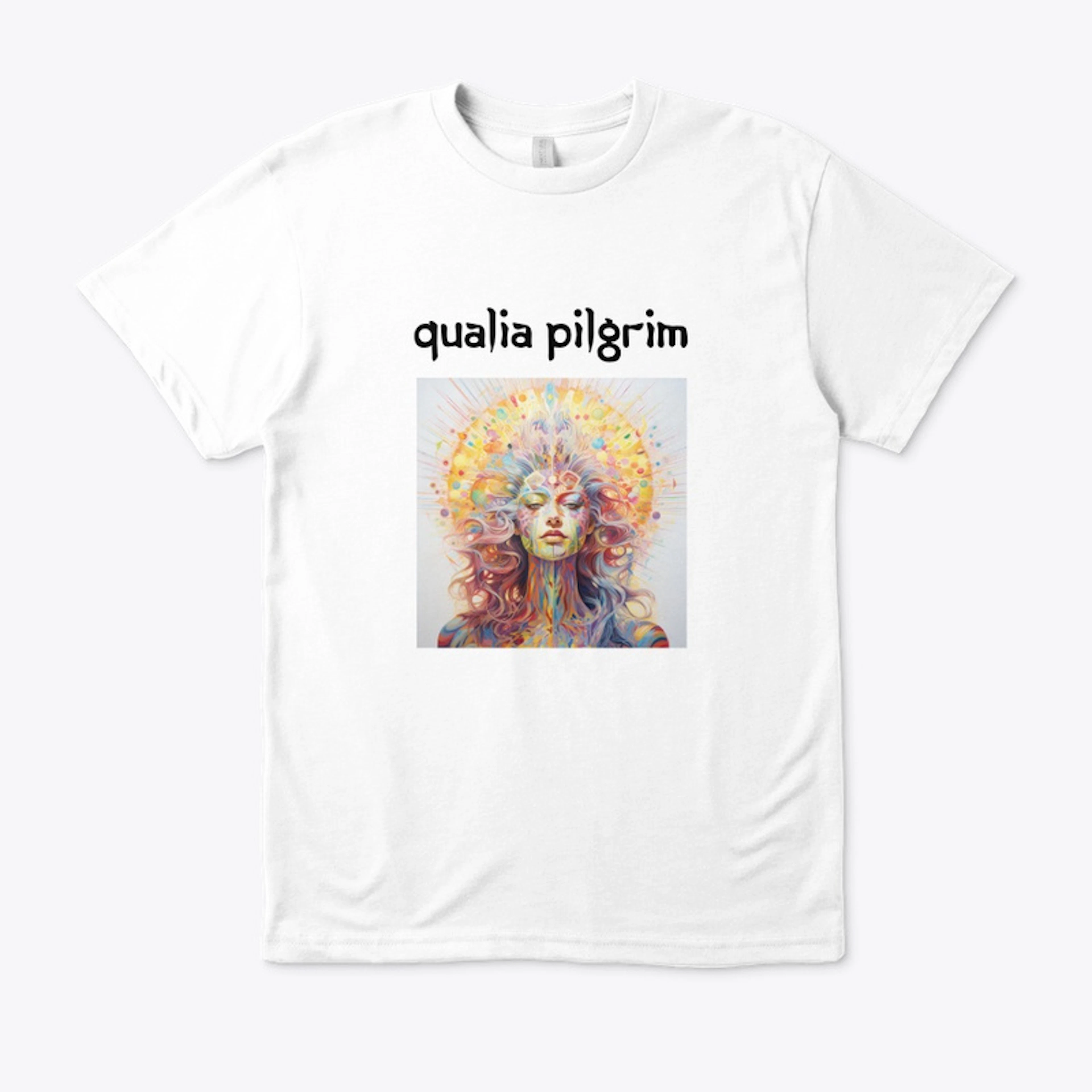 Qualia Pilgrim